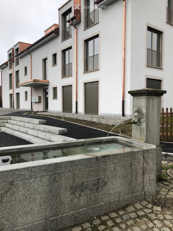 Moderne 4.5-Zimmer-Wohnung in Winterthur 3