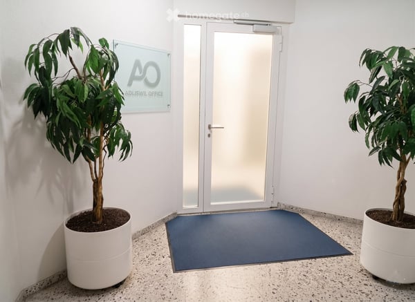 Workspaces mit Weitblick – 254 m², Outdoor-Lounge & Privacy 3