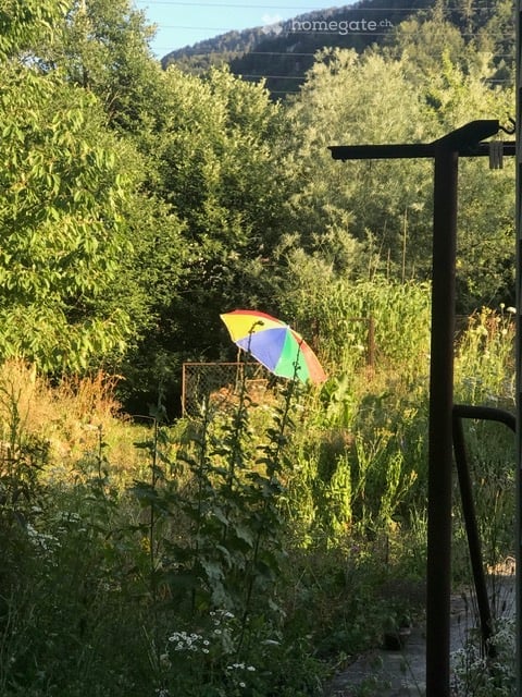 Liebhaberobjekt direkt am Bach mit grossem Garten, Scheune und eigenem Badeplatz 3