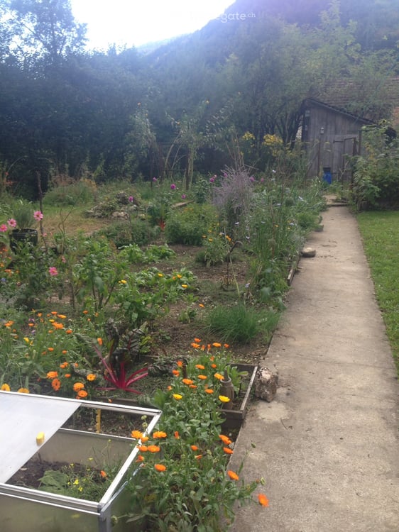 Liebhaberobjekt direkt am Bach mit grossem Garten, Scheune und eigenem Badeplatz 27