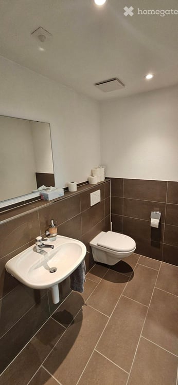 90 m² Werkstatt/Lager mit 415 m² Vorplatz in Steckborn 5