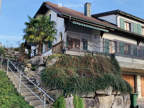 Doppeleinfamilienhaus in Eggenwil