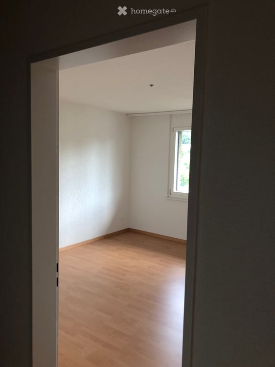 Helle 2.5-Zimmer-Wohnung mit Balkon in Winterthur 3