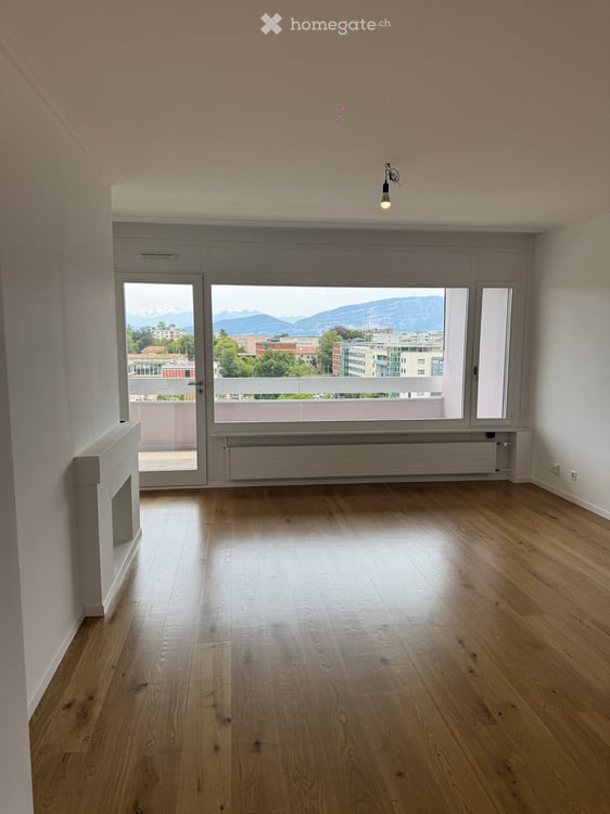 Spacious 5.5-Room Apartment with Stunning Views in Le Grand-Saconnex