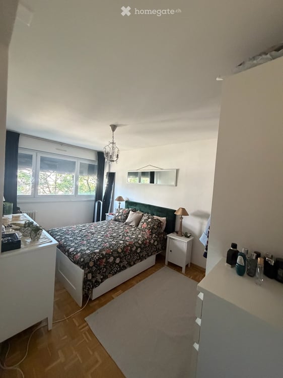 REPRISE DE BAIL Superbe appartement familial de 5 pièces env. 100 m² Vernier 7