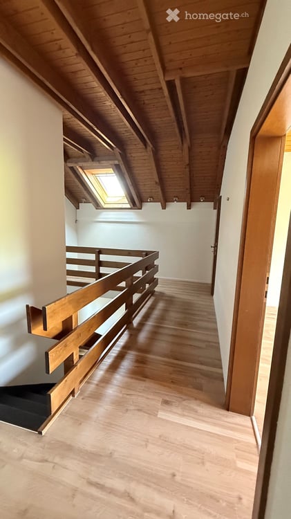 Freistehendes 6½-Zimmer-Einfamilienhaus mit grossem Garten und Ausbaupotenzial in Berg SG 10