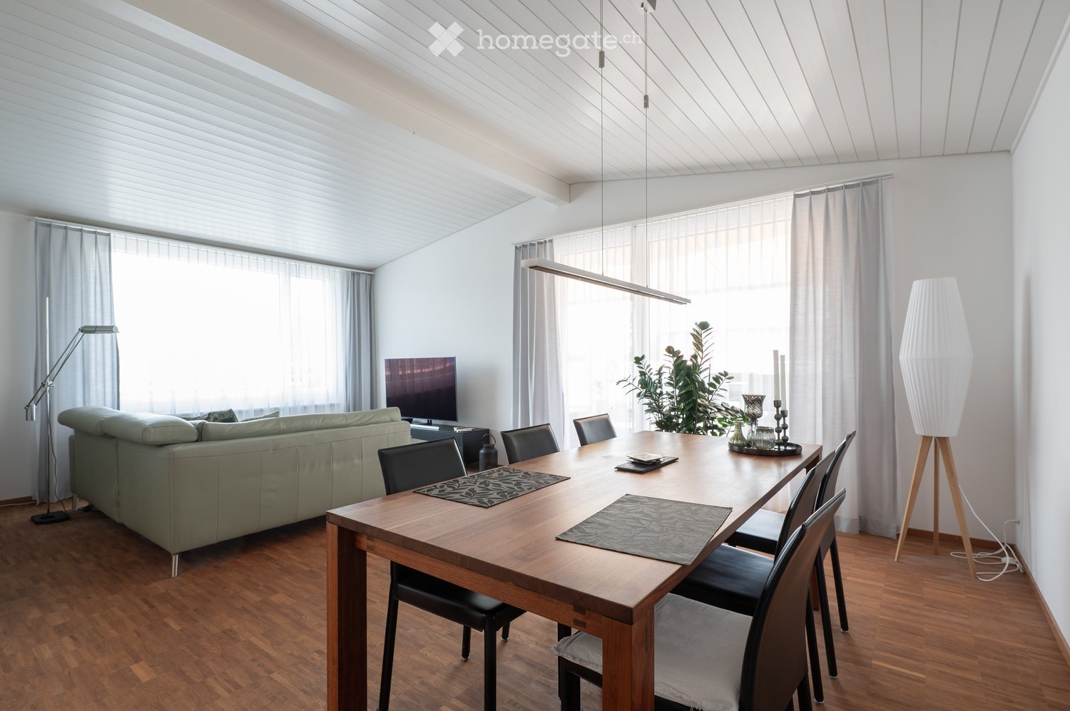Bright living and dining area with a green sofa, wooden dining table, chairs, TV, floor lamp, table lamp, and a plant in the corner.