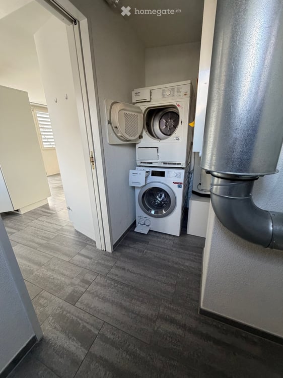 Grosse und schöne 5.5 Zimmer Maisonette-Wohnung im Grünen 7