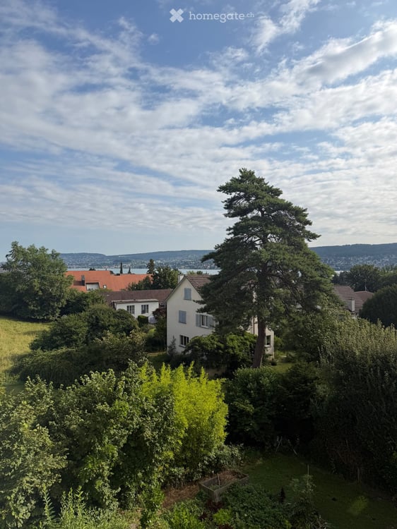 For Rent Apartment in Rüschlikon – Available from August 2026 9