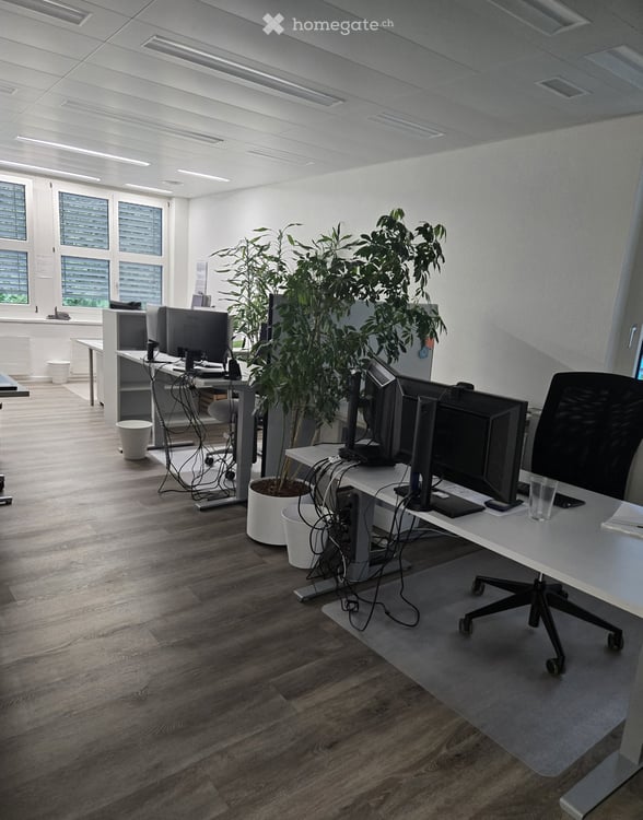 167m2 Bürofläche in Aarau - Modern, ruhig & direkt am Waldrand 4