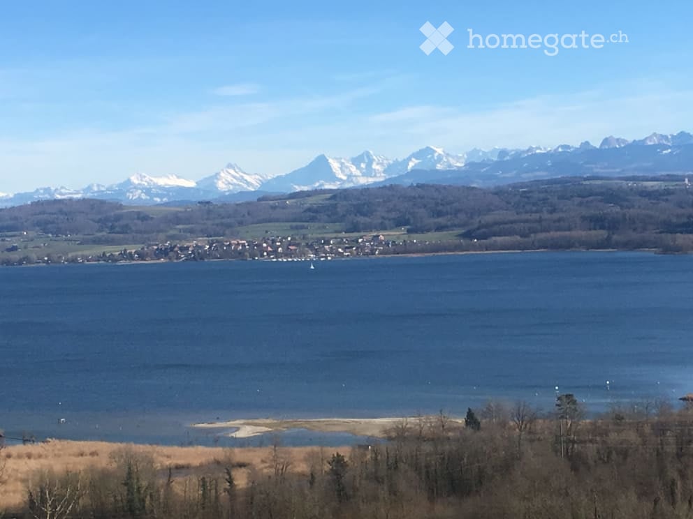 Scenic view of a lake with snow-capped mountains in the background, surrounded by a small town and trees.