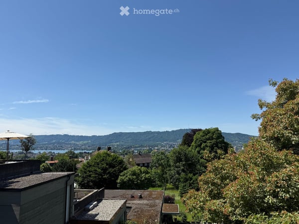 3-Zimmerwohnung am Zürichberg 2