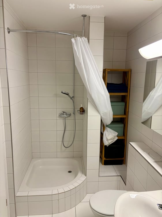 Lichtdurchflutete 3.5-Zimmer-Wohnung mit grossem Balkon 4