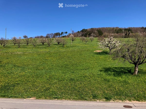 Hochwertige 4.5-Zimmer-Attikawohnung mit einzigartigem Ausblick und Aussen-Whirlpool 19