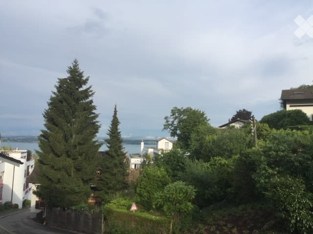 A view from a hillside overlooking a lake, with trees, houses, and a distant shoreline visible.