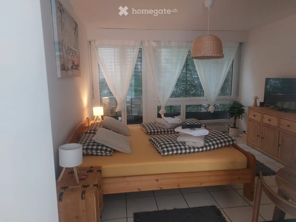 Diverse Möblierte 1-Zimmer-Apartments an der Winterthurerstrasse, Zürich 2