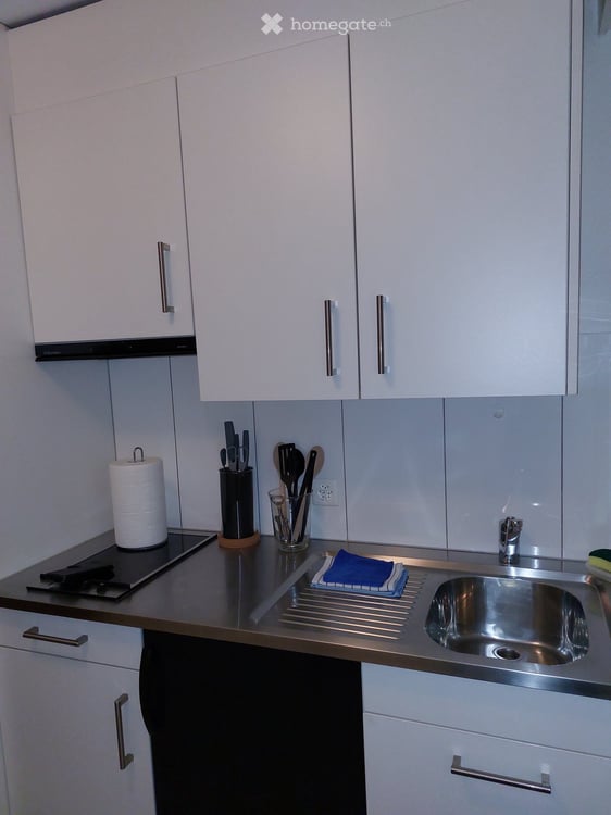 Diverse Möblierte 1-Zimmer-Apartments an der Winterthurerstrasse, Zürich 16