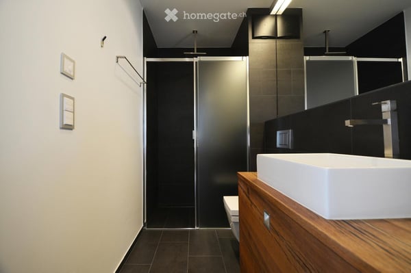 Helle 1.5-Zimmer-Erstwohnung ( 31/2 Zimmer Wohnung plus Studio mit separatem Eingang ) 3