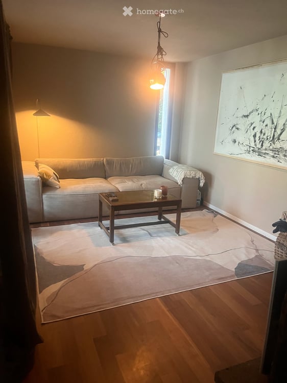Nachmieter gesucht: 5.5-Zimmer-Architektenhaus mit Panorama-Seesicht, Badesteg und Südterrasse 6
