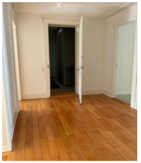 Spacious 6.5-Room Apartment in a Charming Old Building – Route de Malagnou, Geneva 4