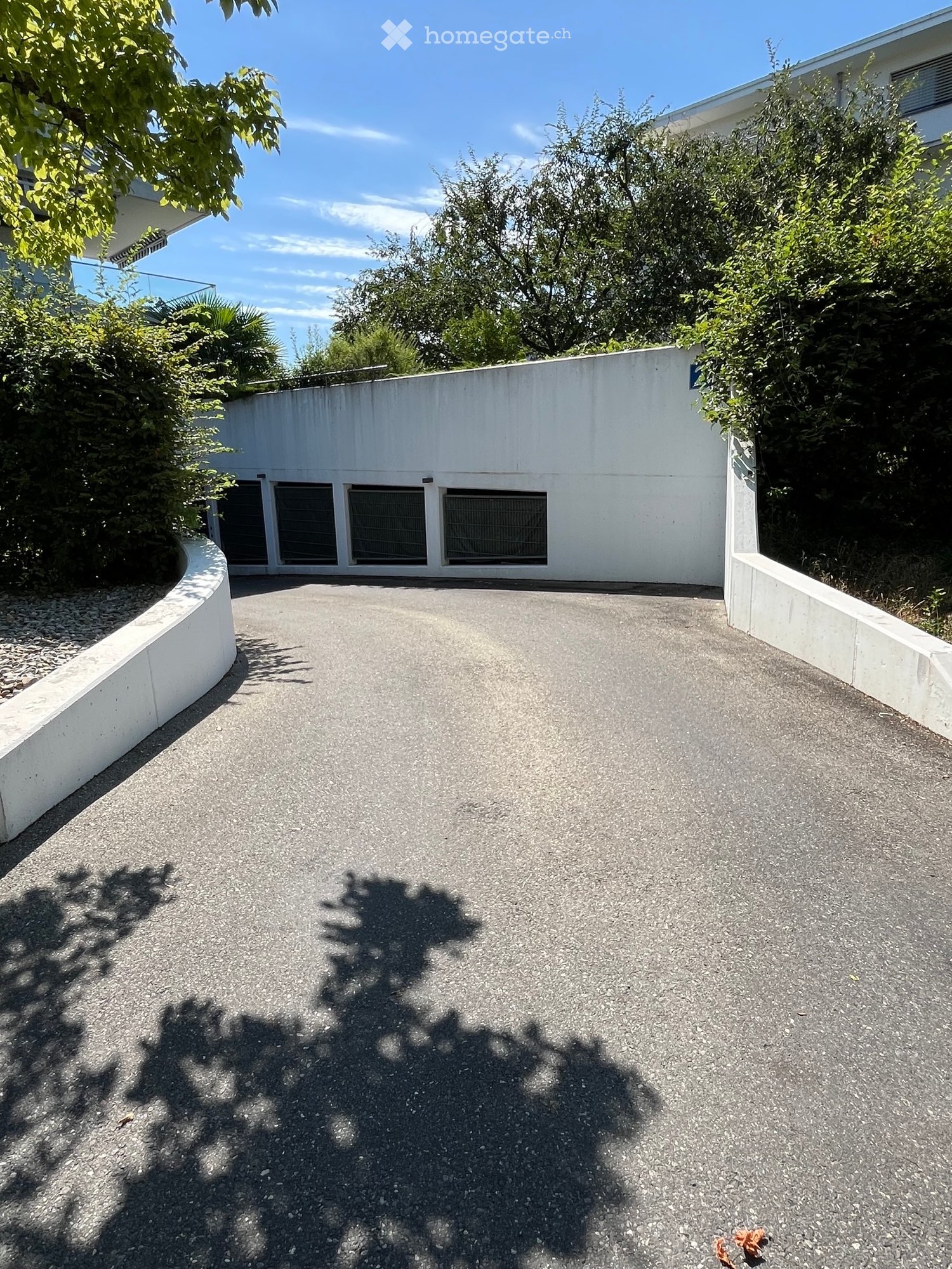 Driveway leading to a modern building with a white facade, surrounded by lush greenery and trees.