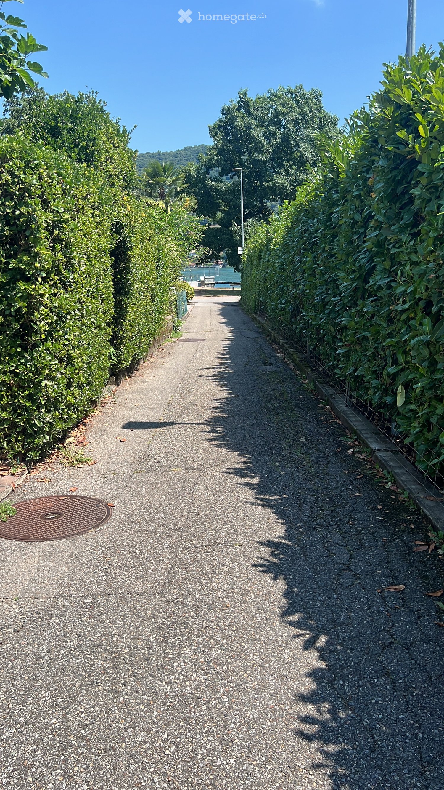 A narrow gravel pathway bordered by neatly trimmed hedges, leading towards a distant view of water and trees.