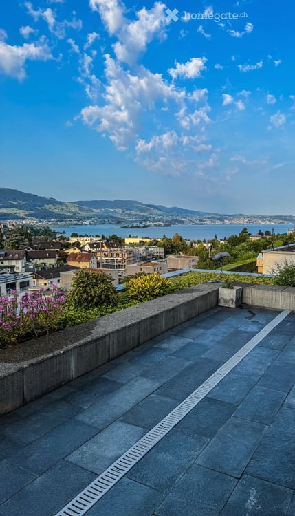 Gepflegtes 5.5-Zimmer-Terrassenhaus mit herrlicher Panoramasicht in Rapperswil-Jona 4
