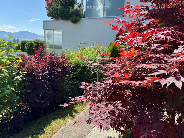 Gepflegtes 5.5-Zimmer-Terrassenhaus mit herrlicher Panoramasicht in Rapperswil-Jona 6
