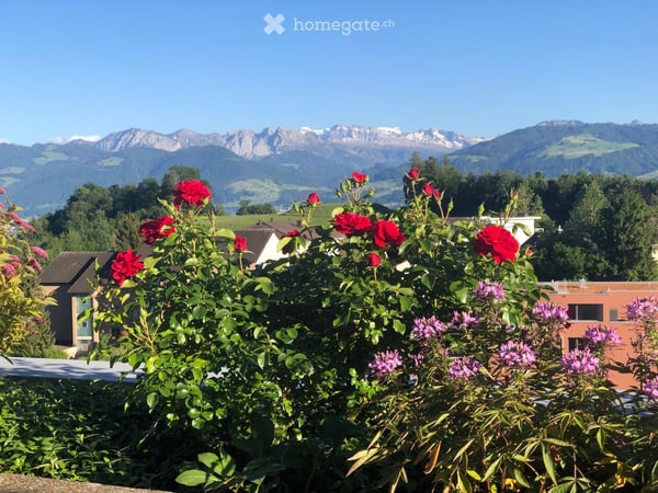 Gepflegtes 5.5-Zimmer-Terrassenhaus mit herrlicher Panoramasicht in Rapperswil-Jona 2