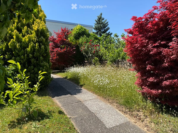 Gepflegtes 5.5-Zimmer-Terrassenhaus mit herrlicher Panoramasicht in Rapperswil-Jona 7