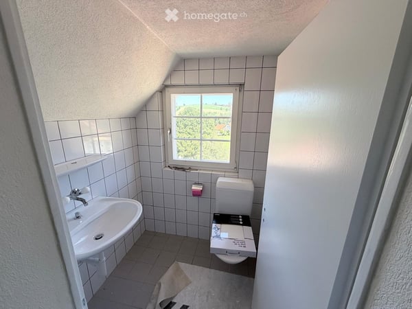 Grosszügige 5-Zimmer-Altbau-Dachwohnung mit Charakter und Naturverbundenheit ab sofort zu vermieten 15