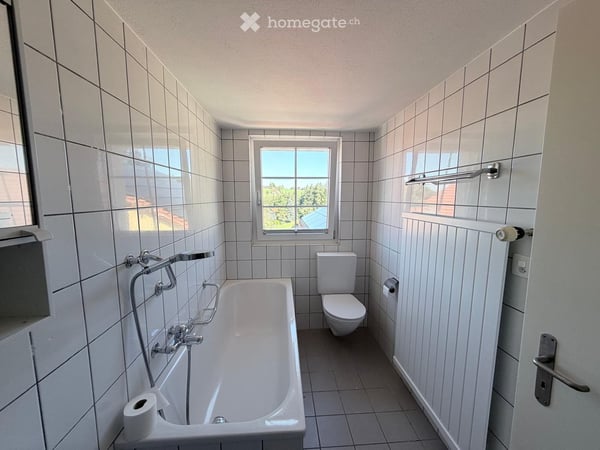 Grosszügige 5-Zimmer-Altbau-Dachwohnung mit Charakter und Naturverbundenheit ab sofort zu vermieten 14