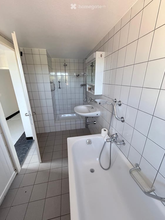 Grosszügige 5-Zimmer-Altbau-Dachwohnung mit Charakter und Naturverbundenheit ab sofort zu vermieten 13
