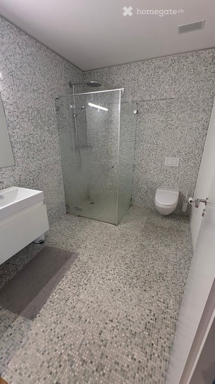 Europaallee: Modern 2.5-Room Apartment (9th Floor, 12-Month Sublet) 5