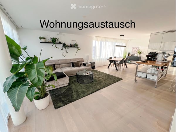 Austausch Attikawohnung in Rotkreuz 2