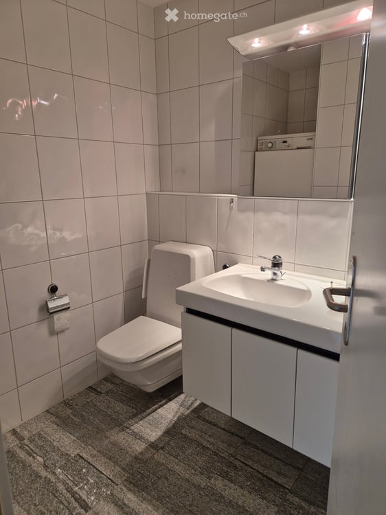 Familienwohnung an ruhiger Lage mit eigenem Waschturm 11