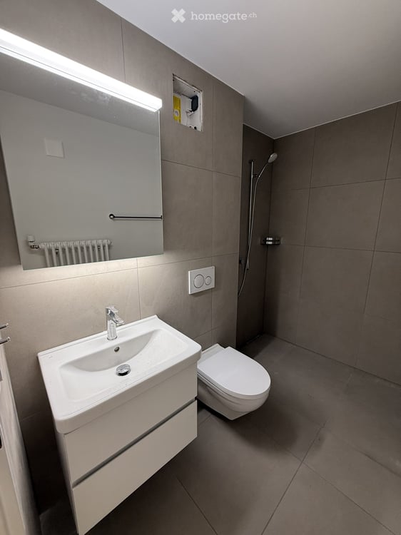 Erstbezug nach Sanierung – 2.5-Zimmer-Wohnung im Nägelsee Töss 6