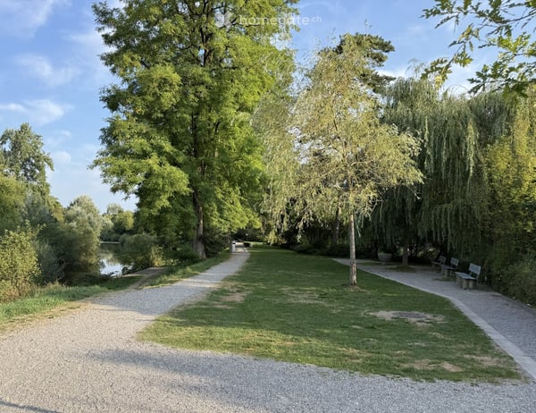 Erstbezug nach Sanierung – 2.5-Zimmer-Wohnung im Nägelsee Töss 9