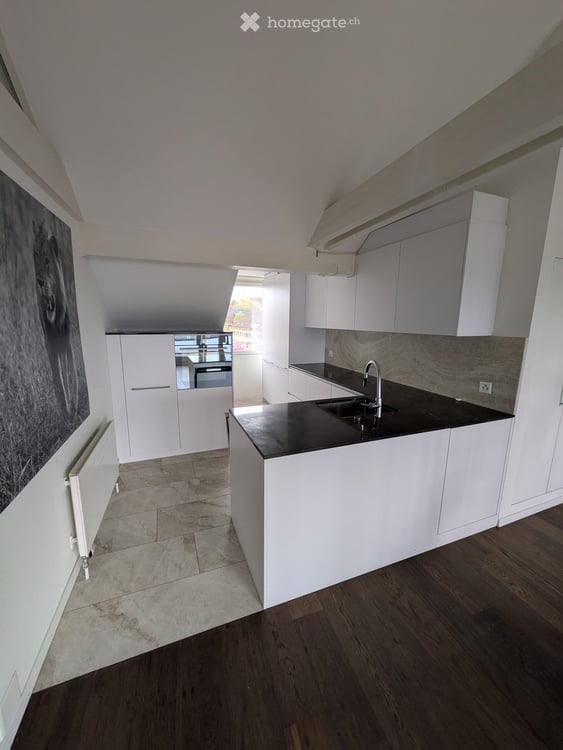 Charmante 2.5-Zimmer-Dachgeschosswohnung an der Langmauerstrasse in Zürich 2