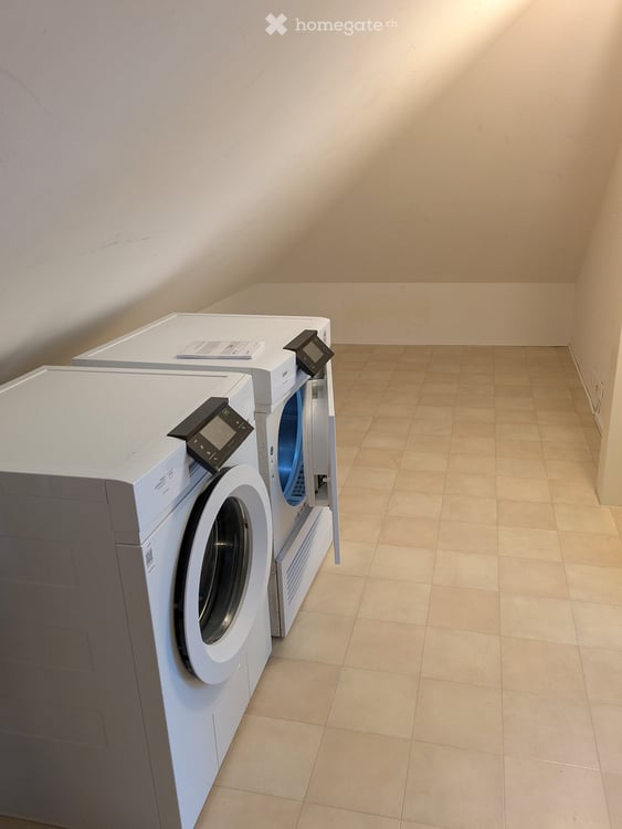 Charmante 2.5-Zimmer-Dachgeschosswohnung an der Langmauerstrasse in Zürich 13