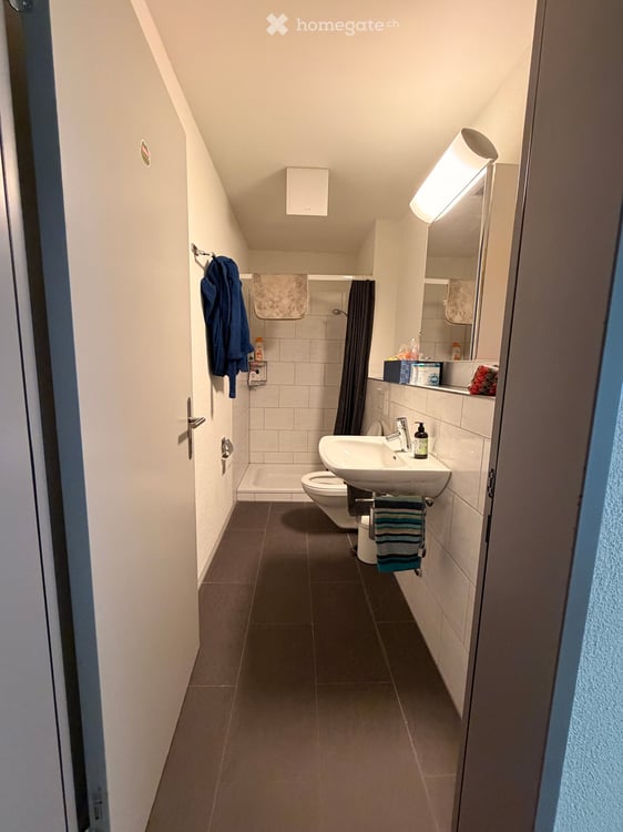 Bright and Spacious 7.5-Room Apartment with Large Balcony in Zürich Affoltern (8046) 5