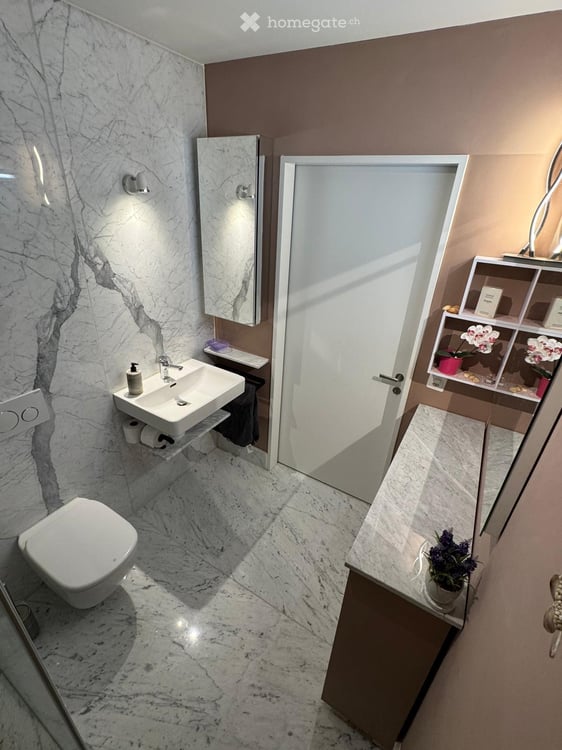 4 1/2 Zimmer - Möblierte Wohnung in Zürich Manegg 15