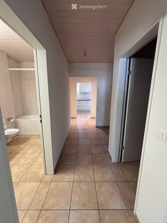 Charmante 3-Zimmer-Altbauwohnung mit Gartensitzplatz in Dornach 11