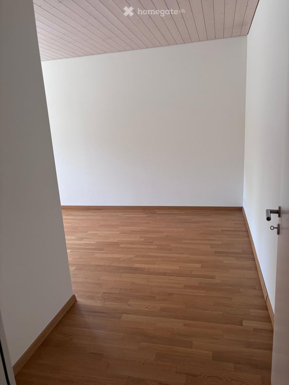Charmante 3-Zimmer-Altbauwohnung mit Gartensitzplatz in Dornach 4