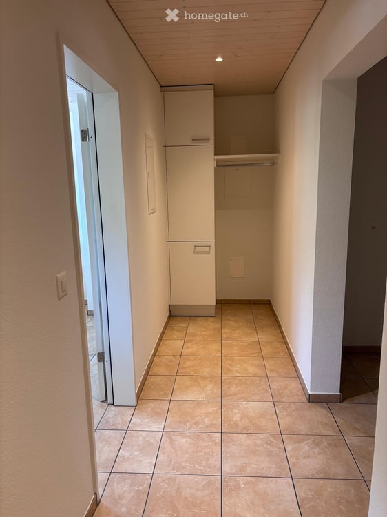 Charmante 3-Zimmer-Altbauwohnung mit Gartensitzplatz in Dornach 2