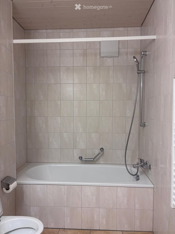 Charmante 3-Zimmer-Altbauwohnung mit Gartensitzplatz in Dornach 6