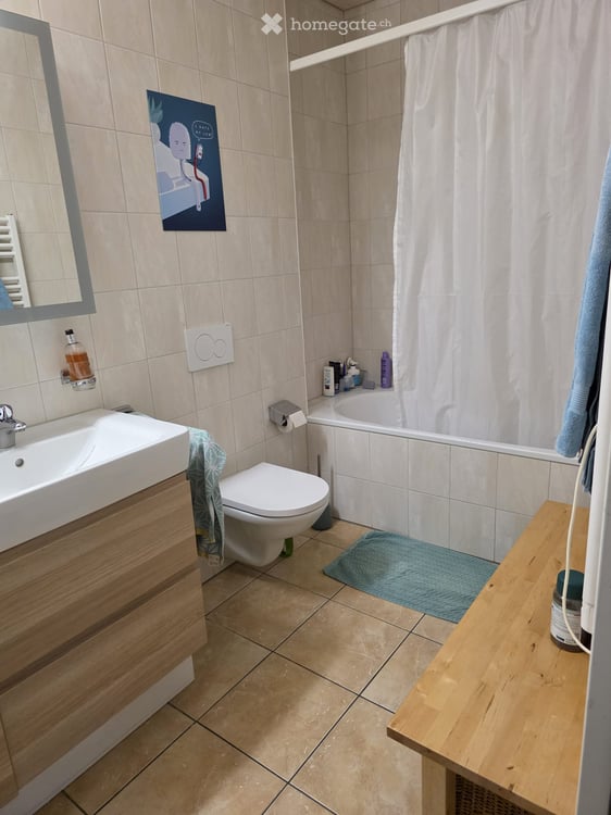 Charmante 3-Zimmer-Altbauwohnung mit Gartensitzplatz in Dornach 8
