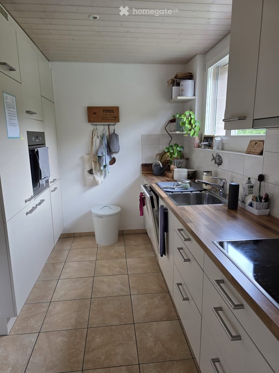 Charmante 3-Zimmer-Altbauwohnung mit Gartensitzplatz in Dornach 4