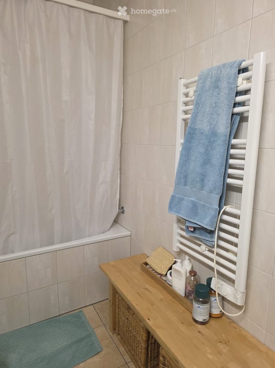 Charmante 3-Zimmer-Altbauwohnung mit Gartensitzplatz in Dornach 7