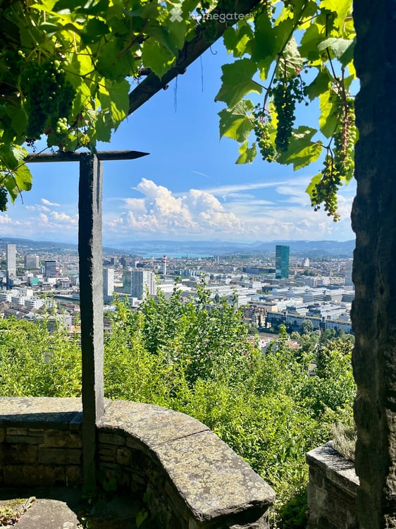 Vermietung befristet auf 2 Jahre, 4.5-Zimmer-Doppeleinfamilienhaus an ruhiger Lage in Zürich-Höngg 8
